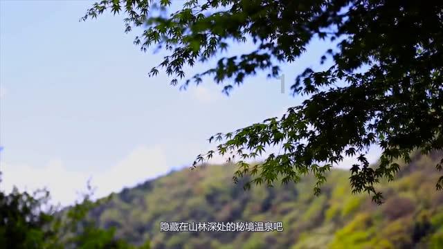 “迎新春慈善助困” 慰问款物将陆续发放 扫码阅读手机版
